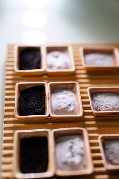 一排装有不同粉末配方的样品盘，从深色原料到细腻的浅色粉末